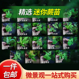 ���ճ�����ָ�̦�\΢���^��ާ���F��ާ��βާ�r��ާ�ֲ���쾰