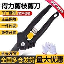 �����������ʡ�����ӈ@ˇ�޼���֦�����޼�֦����֦��@���l