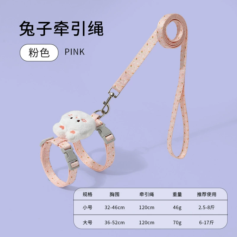 Adjustable suspenders with leash to go out