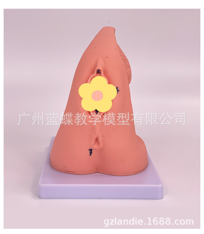 详情_13