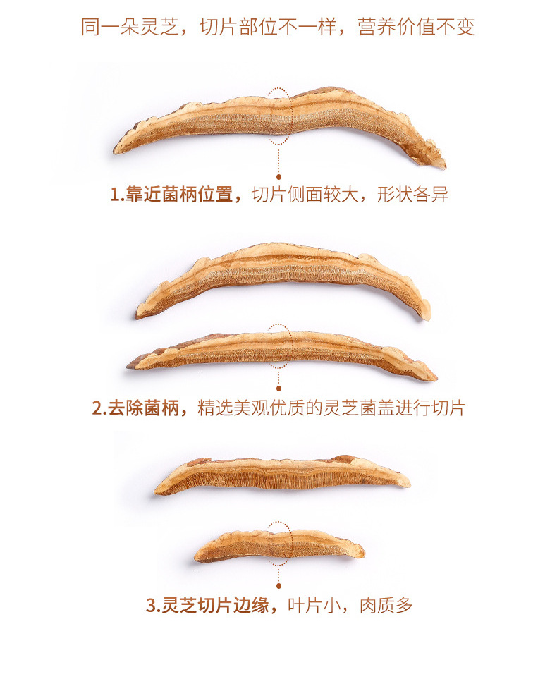 Dried Reishi Mushroom Slices Ling Zhi 200g Box Northeast China Ganoderma lucidum quality and texture