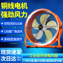 ���ʹ��Iſ���ȏ����AͲ���L�C�Bֳ�����L�Ś������L���~�����l
