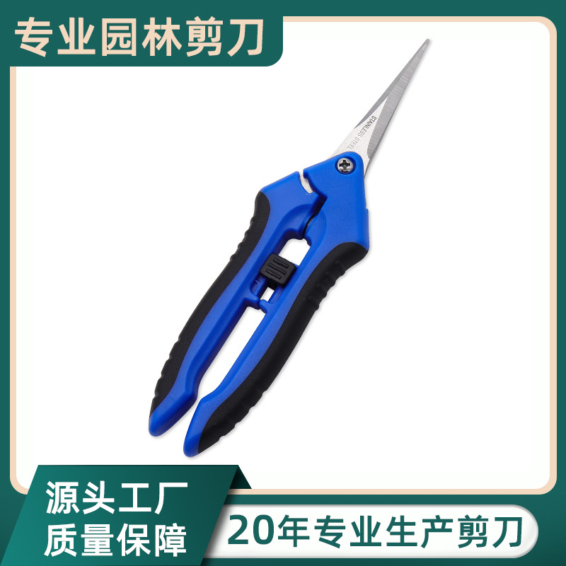 养花修枝剪刀园林剪花枝剪花枝剪去刺不锈钢园林剪花艺摘果剪