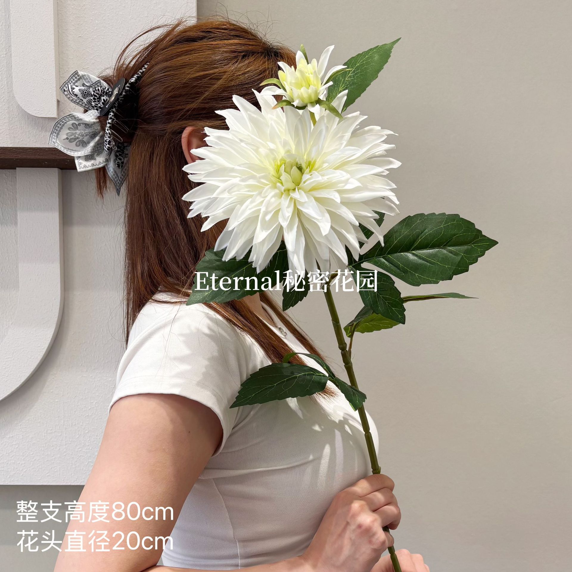 유럽 ​​달리아 흰색