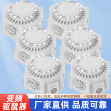 �����2024�羳�¿����������������������s��