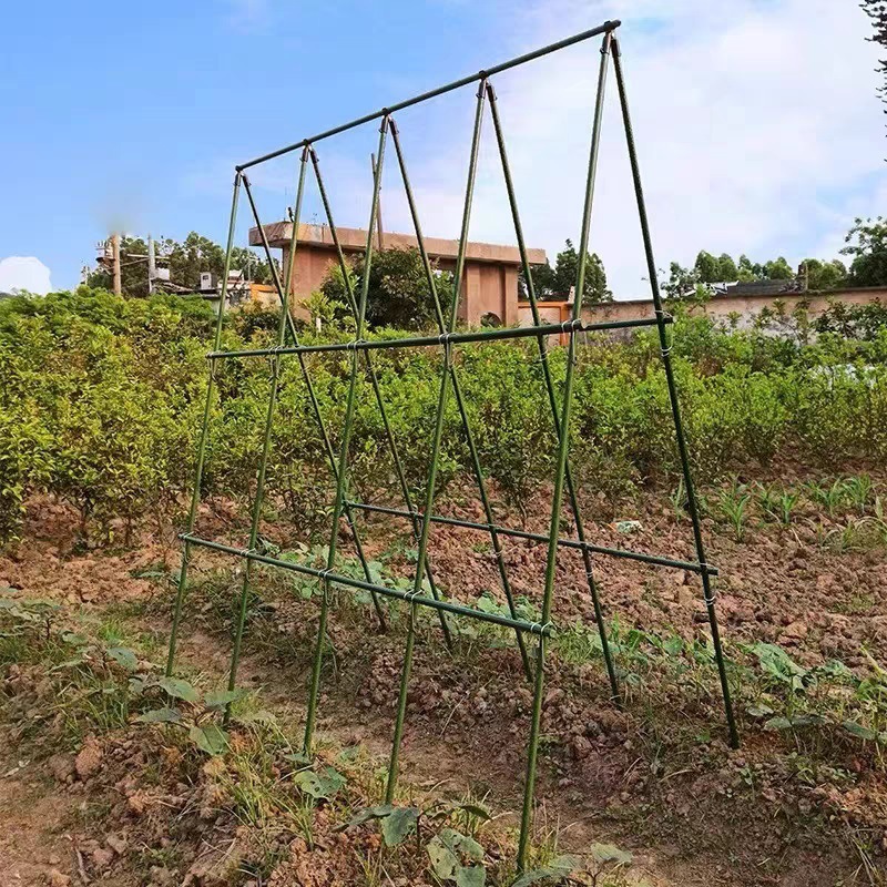 Cultivo de hortalizas, caja de plantación agrícola, marco de enredadera trepadora de tomate, marco de verduras, marco de frijoles de pepino, marco de arco, marco de escalada