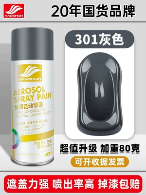 Matte Hand-Shaken Spray Paint Can, Avtomobil boyası - gray-450mlbottle