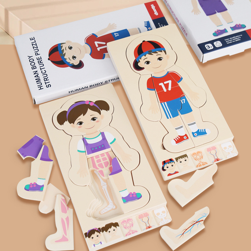 Cross-Border Wooden Multi-Layer Puzzle Toy for Girls, Human Body Structure, Kindergarten Early Education Cognitive Enlightenment Puzzle Game
