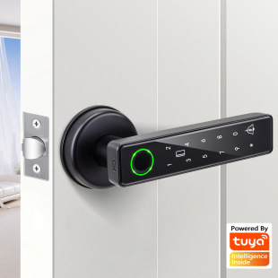 Wooden Door Fingerprint Lock Graffiti Smart Lock Home Password Lock Semi-Automatic Apartment Lock One-Grip Open Spherical Electronic Door Lock