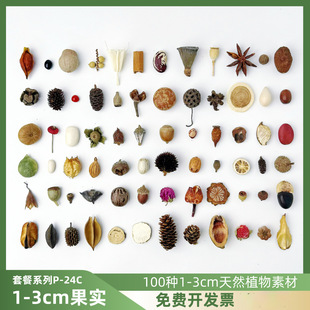��1-3cmֲ���زġ���N��Ȼ�����ֹ�diy�˱�Ϟ�T��޹�׃��h�����z