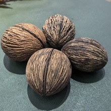 进口千纹果  干果 干花装饰插花天然植物家居摆设