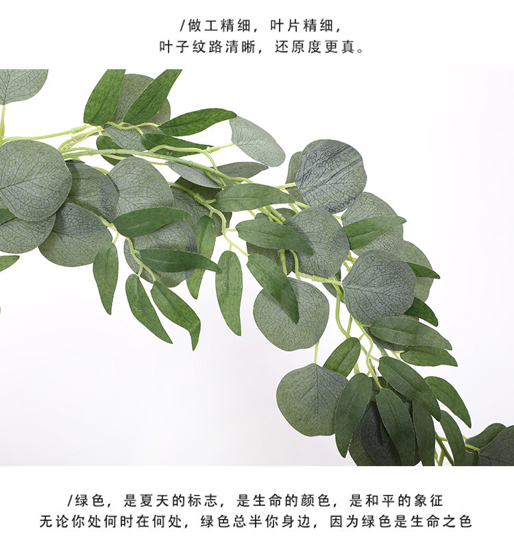 尤加利藤条