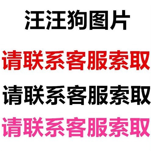 汪汪队毛绒玩具玩偶跨境精品带标狗狗巡逻队全套公仔立大功现货