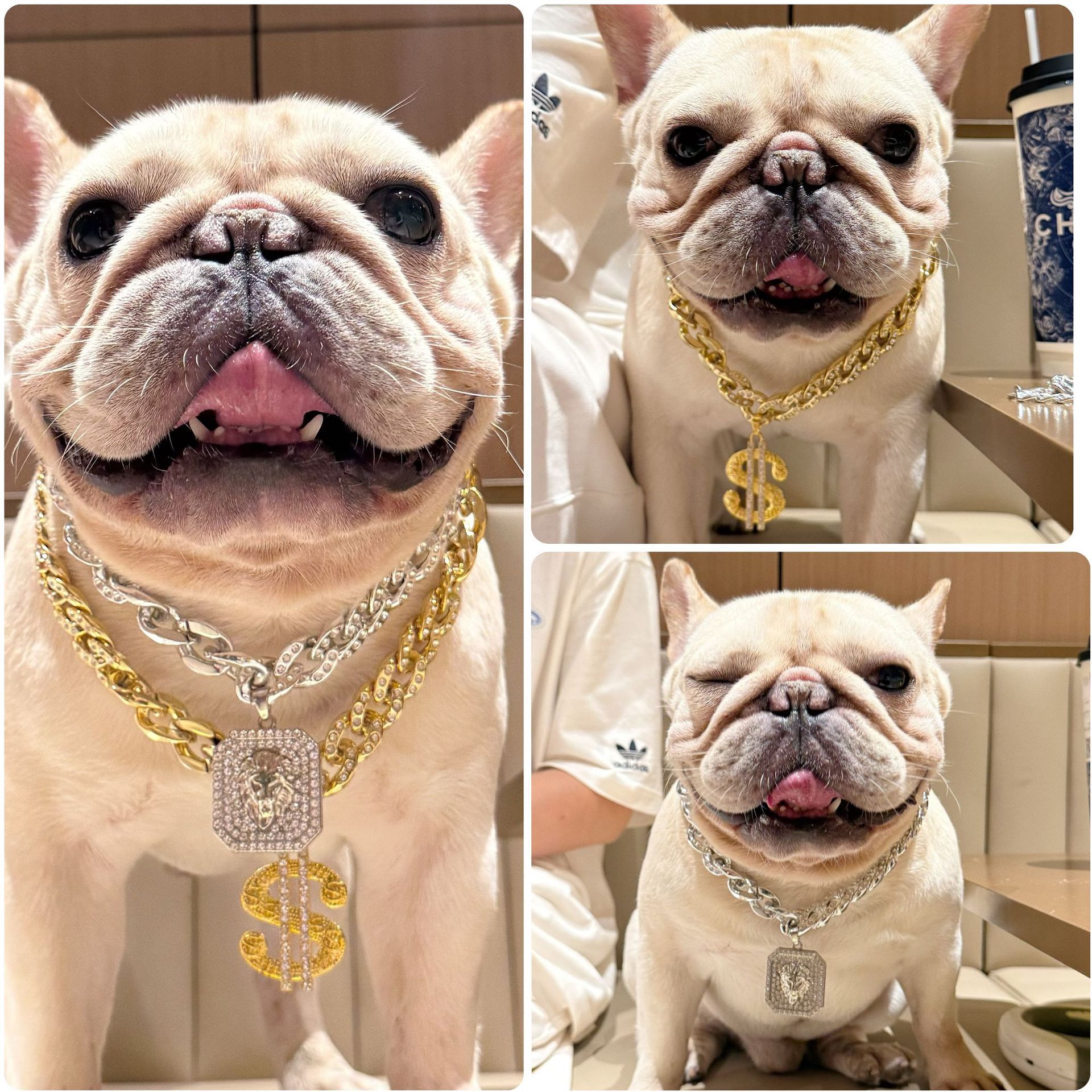 Comercio exterior mascotas collar de diamantes cubano ajustable dólar corona KING collar de lucha hip-hop gato perro