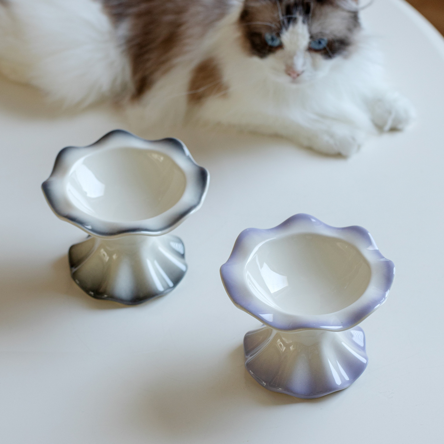 Cerámica de alto valor, pies altos, tazones para mascotas anti-volcado, tazones para gatos y perros, tazones para beber alimentos, tazones para suministros para mascotas, exportación transfronteriza