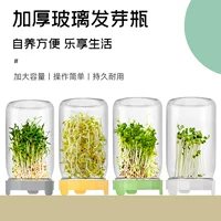 Amazon Mason Bottle для прорастания Bottle Bottle Bottle Bottle Bottle Широкая стеклянная бутылка для роста ростков фасоли