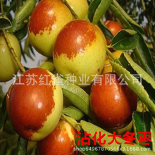 �����痗������޽ӹ������ϱ������Ե���ͥԺ�Nֲմ����z��