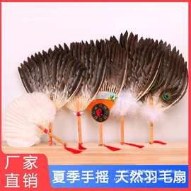 ✅厂家直销羽毛扇夏天便携鹅毛扇宝宝扇孔雀扇儿童家用诸葛垒德株