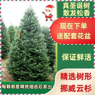 �ɼ�������Zؐ������}�Q�����������Ų���ɘ��}�Q������Gֲ