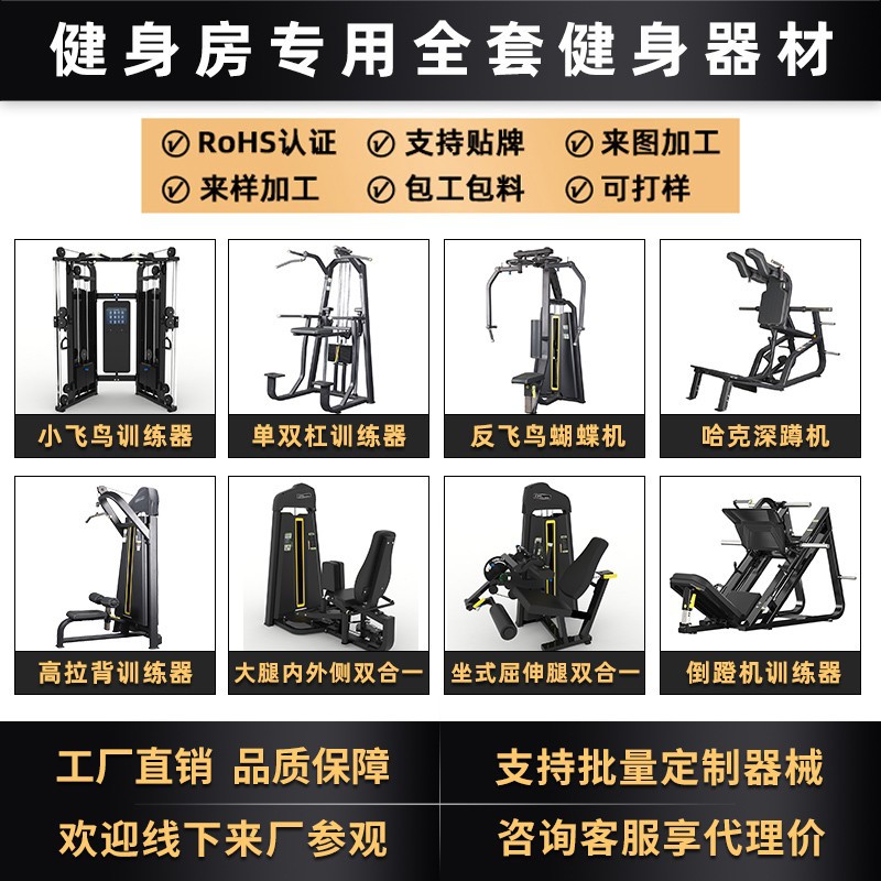 Equipo de entrenamiento de pull-down de alta posición para pull-down de alta y baja espalda integrada especial para entrenamiento de fuerza muscular gimnasio comercial