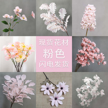 ���滨��ɫõ�廨������w��۹����컨���m���Ͳ��~�����c�ٻ�