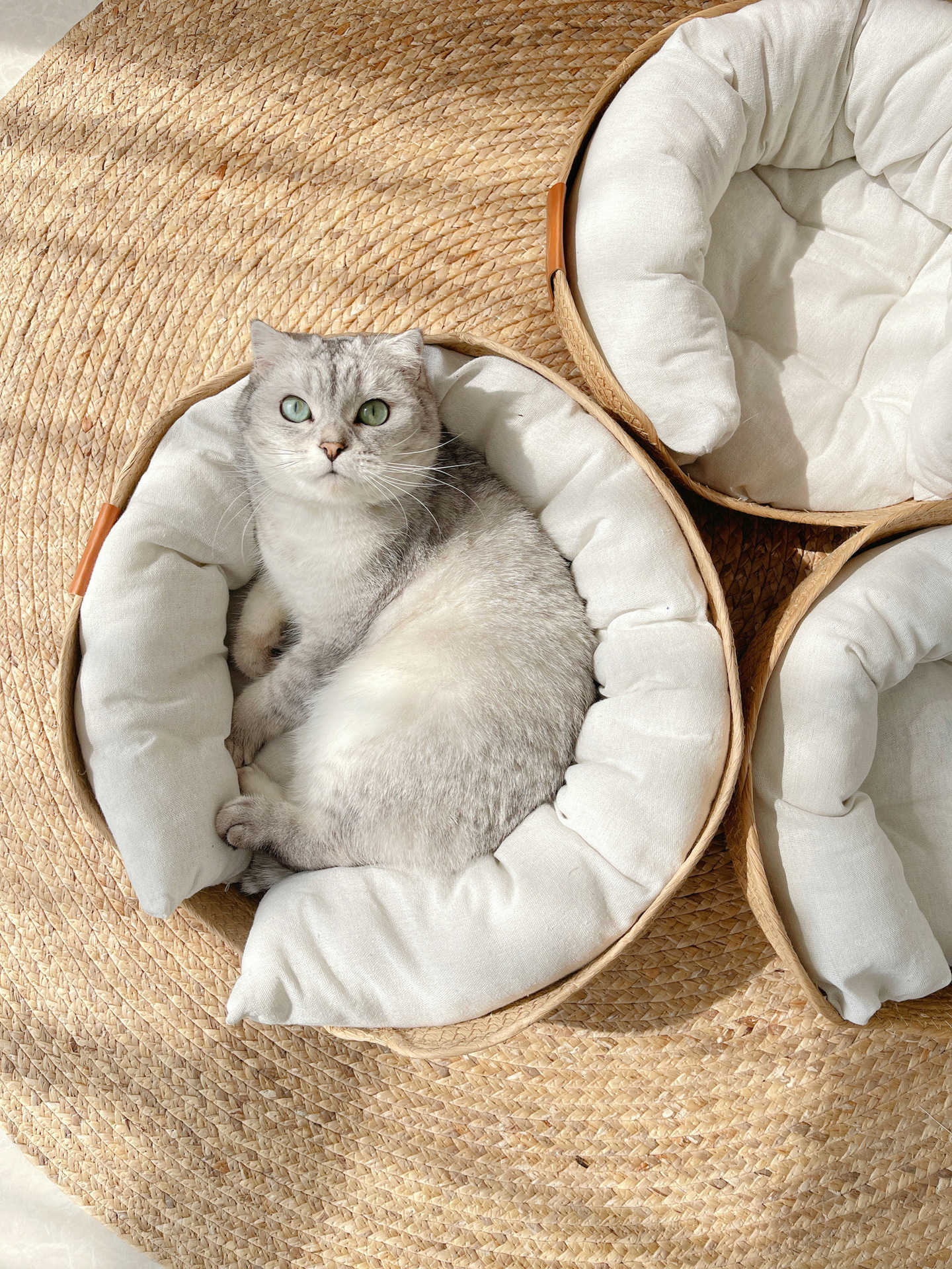 Cat Bed Image 3