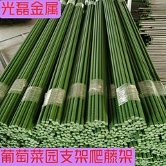 野菜栽培クライミングパーゴラブドウキュウリ豆フレーム中庭花植物サポートロッドトマトラックロッド50個送料無料