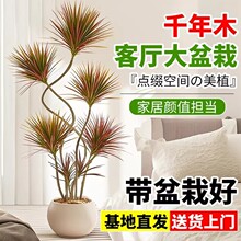 ǧ��ľ�͏d�����ԾGֲ����ֲ���쾰�҃Ⱥ��B�߲��F�͏d�k��������