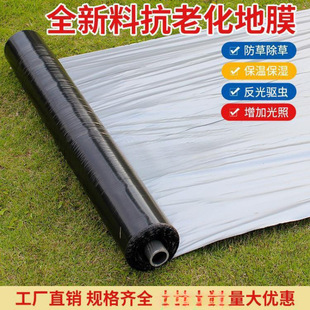 Agricultural Thickened Silver and Black Two-Color Reflective Mulch Film for Insulation and Planting, Plastic Film for Insect Prevention