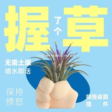 �՚��P���҃ȑ���ֲ��Gֲ��������[���o�������A�Ĭ�J�����