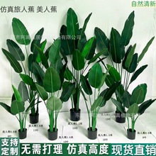 ����Gֲ�٘������B������ֲ�����Ը߶��p���҃ȿ͏d�b��쾰�[��