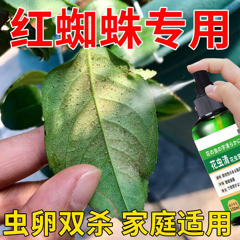 抗性红白蜘蛛专用预防治疗月季玫瑰绣球花卉植物家庭通用杀虫剂