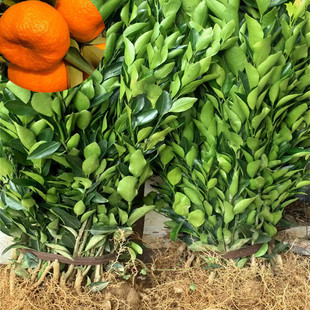 �ɶ��ո������ �Ĵ� �F�� ��� ���� �V���ո����ٹ��������l