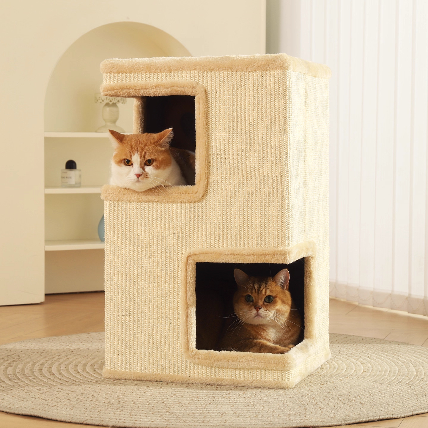 Pet Cat