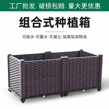 �Ӻ����ϻ������ͥԺ��[����N�ˌ������̨���۽M���߲˷Nֲ��