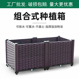 �Ӻ����ϻ������ͥԺ��[����N�ˌ������̨���۽M���߲˷Nֲ��