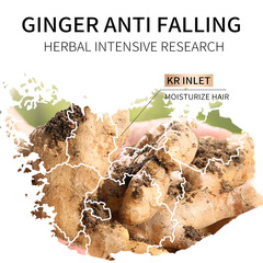 SADOER Ginger Essence Hair Mask Improves Frizz, Dry Hair, Nourishes Hair, Smoothes and Moisturizes Hair Mask Wholesale