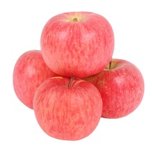 洛川红富士苹果当季时令洛川红富士新鲜水果脆甜洛川苹果一件代发