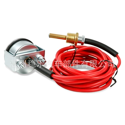 automobile instrument Gauge 12/24V with 4.5m