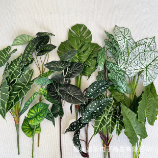 �W�tֲ���~�ϼ� �����Ʒ�|�ָ��V�~�ﺣ�� ��ɫ���~�� �����~