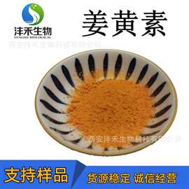 姜黄素95%/98% 食品级姜黄提取物 207-285-5 现货供应 量大从优