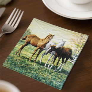 �����Rӡ���ͽ�������һ���Լ��|��ɫ����20Ƭ�b25x25cm�R�y