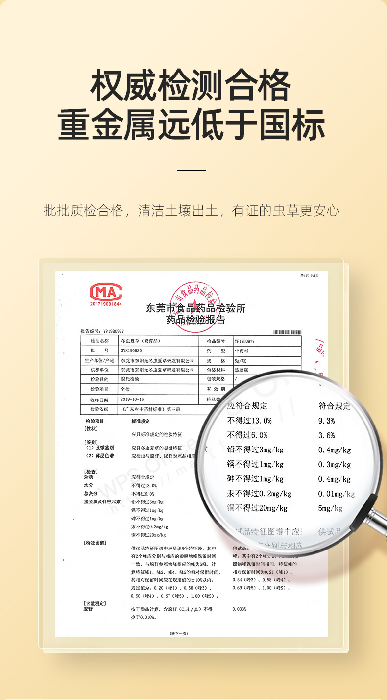 Dried Cordyceps Sinensis Broken Stems 10g Jar Qinghai Origin Whole Dried Cordyceps for Cooking specifications