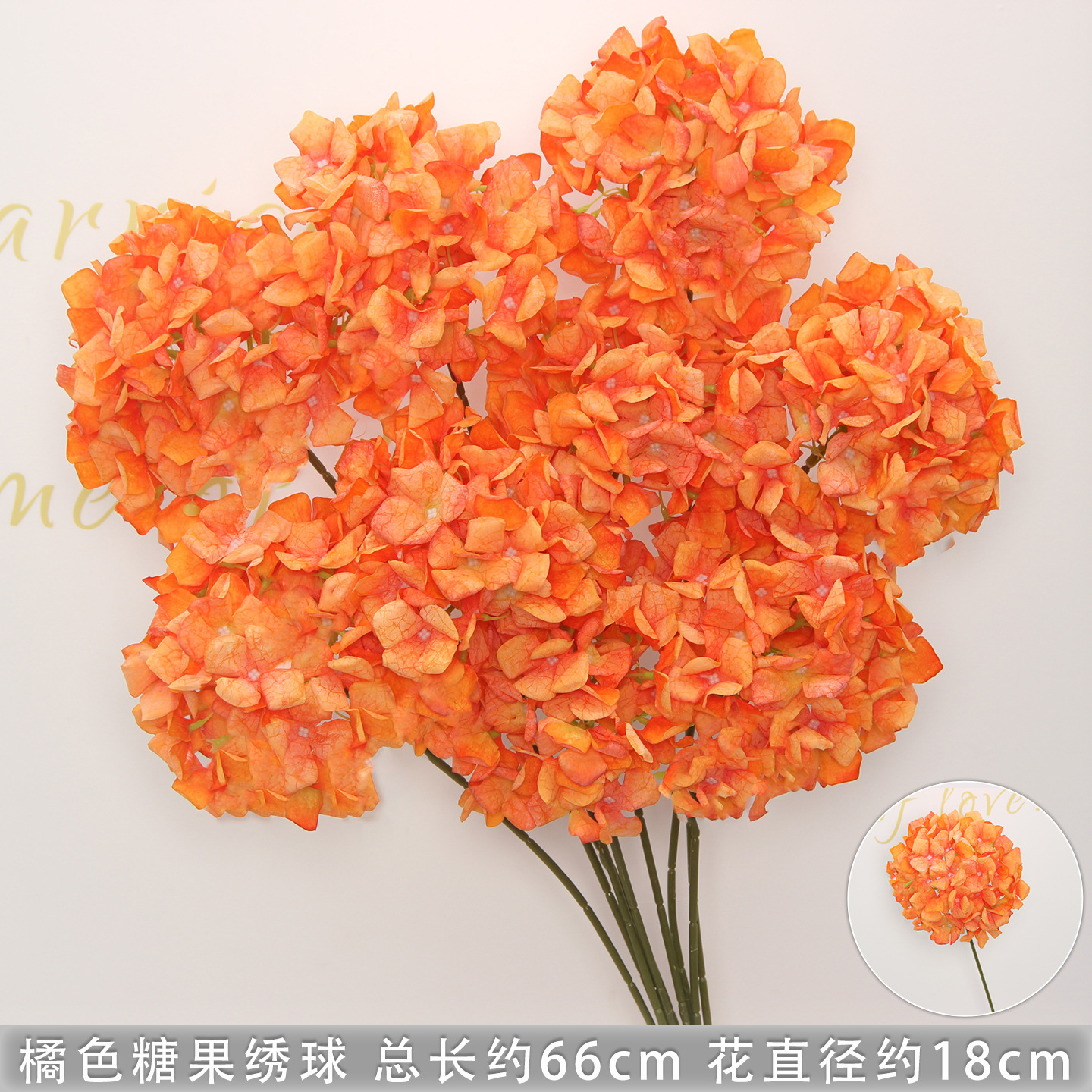 橘色糖果绣球/支