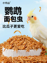 ���������ɽ�����ʳ��Ƥĵ������С̫���˸�����Ʒ��������