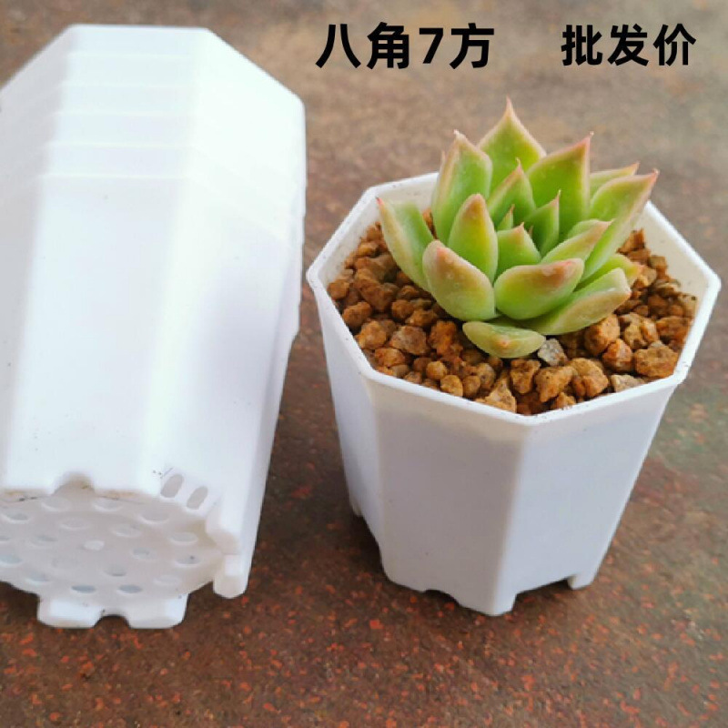 多肉植物の植木鉢、厚みのある大小の八角形の植木鉢、プラスチック卸売家庭用鉢植え葉挿し苗ポット、直販卸売|undefined