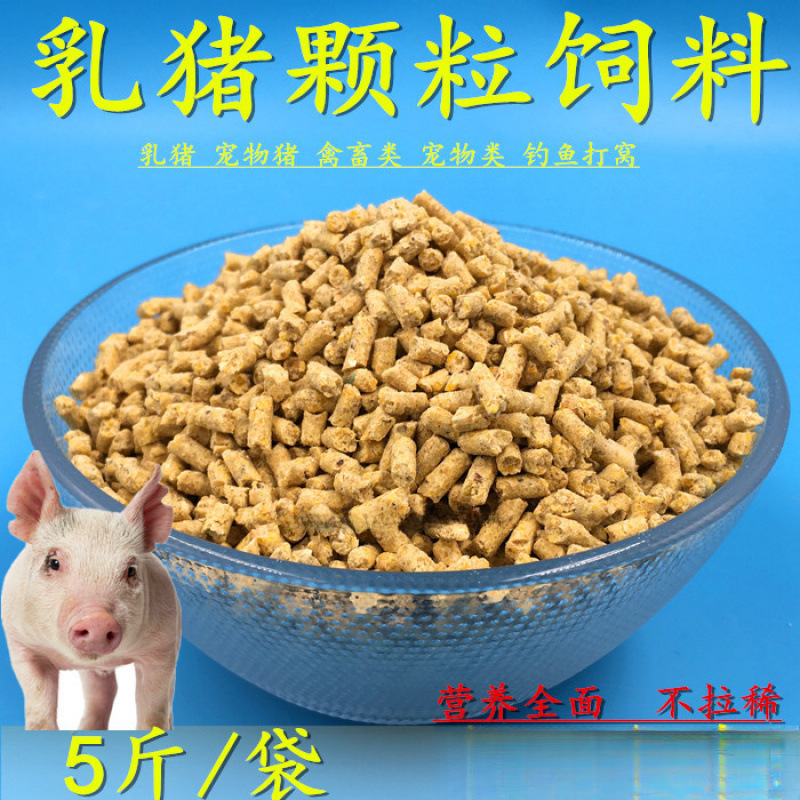 猪饲料小猪料小猪饲料开口料乳猪教料破碎全价料催肥钓鱼打窝