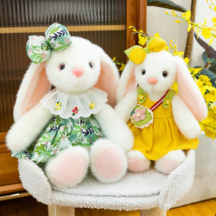 ���ֵ����С�����L��������żë�q��ͯ���г��������������öY��