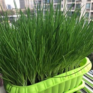 �[�N���ļ�С���[�N���̨���Լt�[�^�ļ����Ϸ���ͥ�Nֲ�߲˷N��