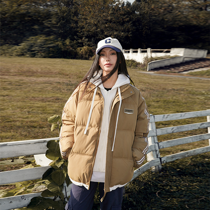 2025 invierno nuevo estilo de algodón femenino universal corto estilo de moda con capuzas suelta de algodón femenino coreano chaqueta de algodón delgada chaqueta image 9
